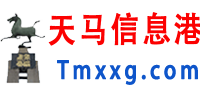 天马信息港